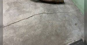 『本気で人間を狙ってる大蛇の動き』獲物視点が味わえる動画がものすごい緊張感「エネルギー溜めてる」