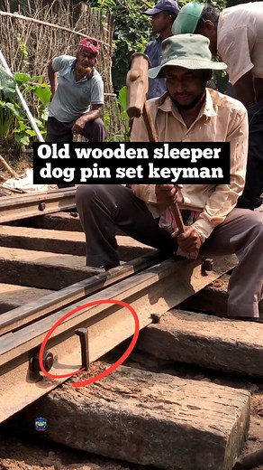 Old wooden sleeper dog pin set keyman. #trains #railway #train #railways #railwaytrack | Md Abdul Haiy