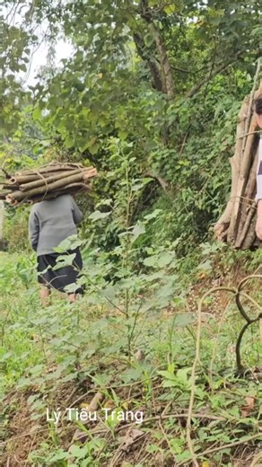 245K views · 6.6K reactions | The poor old woman and the homeless girl hurried to find firewood to burn on the cold rainy day. #lifesingle #singlemother #lytieuca | Collection | Facebook