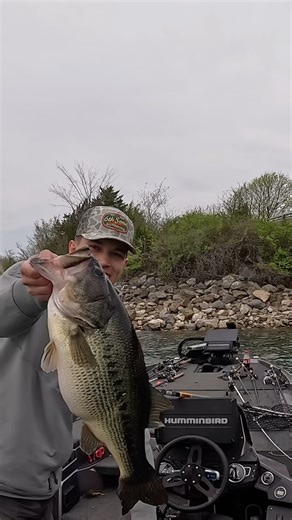 “Smity” on Instagram: "6.80 on a jerk bait!! #fishing #bassfishing #skeeterboats"