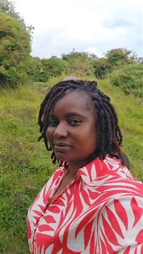 Exploring the Stunning White Cliffs of Dover