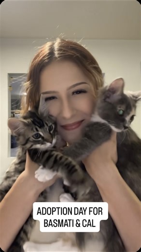 Rachael Rae Robertson on Instagram: "The big day has finally come for these two! Congratulations to Basmati, Cal, and their new mama, and thank you for adopting! So thrilled to know they’ll be growing up right next door"