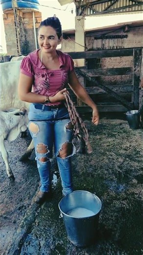 Cow milking by hand Day 109 part 4 | Tatiane Dairy Farm | #farming #cow #shortsfeed #viral #shorts
