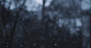 Light Soft Snow Falling Winter Snow: стоковое видео (без лицензионных платежей), 3405159337 | Shutterstock