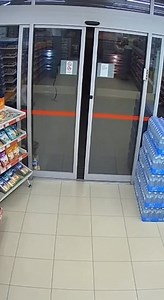 325K views · 11K reactions | That move was way too smooth… definitely not their first time.”  | Kitty Time | Facebook