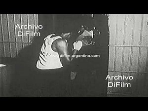 Marian Lady Tyger Trimiar - Pioneer in women's boxing 1974