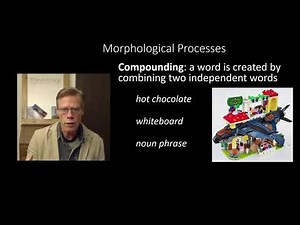 Morphological Processes