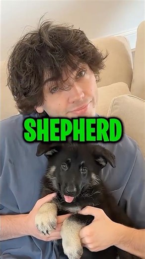 My Puppy’s First Time Meeting My Friends