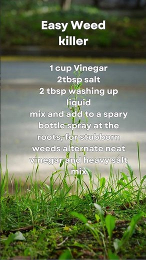 Weed Killer for Lawns & Gardens | Safe, DIY Solutions for Fast & Effective Weed Control