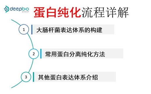 蛋白诱导表达及分离纯化实验详解，含实验中常见问题解答