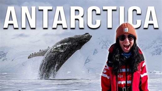 Our 10-day Antarctica cruise part 2 incredible wildlife encounters on the White Continent