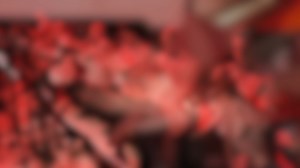 The Music of Zimmer vs Williams take over the Royal Concert Hall next week on Friday 20 October! An epic concert celebrating the very best scores from two of the greatest film composers of all time with the Manchester Concert Orchestra. Featuring the music from Star Wars, Pirates of the Caribbean, Gladiator, Harry Potter, Superman and more! Tickets: https://bit.ly/3KbxDfD | Theatre Royal & Royal Concert Hall
