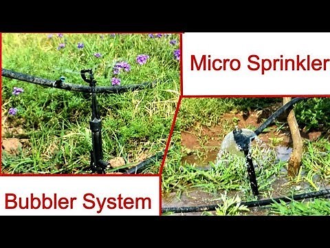 Micro Sprinkler and Bubbler Irrigation System