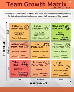 #performer #growth #matrix #talent #consistent #CareerSuccess #McKinsey #9box #jobs #employment #careers #workplace #CareerGrowth #performance #potential | HR & IR Academy