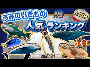 【海の生き物 大集合】うみのいきものランキング top20☆人気No.1はだれかな？【子供向け 水族館アニメ】イルカ サメ クジラ