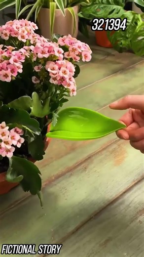 Love this book! #motonovel #stories | Motorcycle BookTok