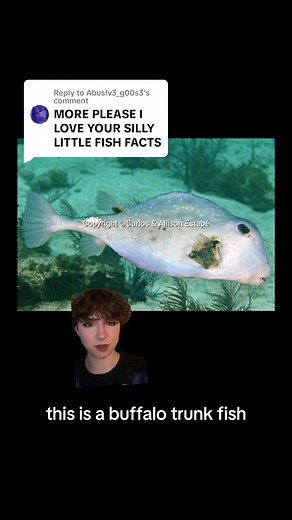 Exploring Marine Life: Fish, Ichthyology, and Paleontology