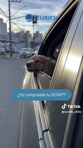 Contrata tu SOAP fácil y rápido en Zurich.cl