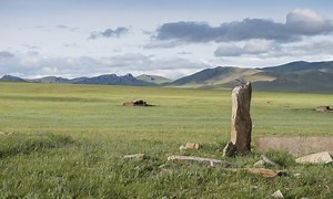 Institut CNRS Sciences humaines & sociales | CNRS Sciences humaines & sociales