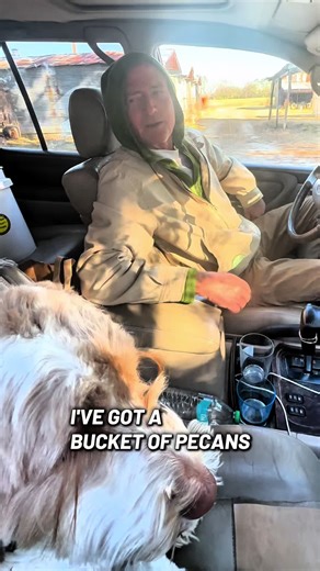 Identifying Bad Pecans: Tips and Tricks