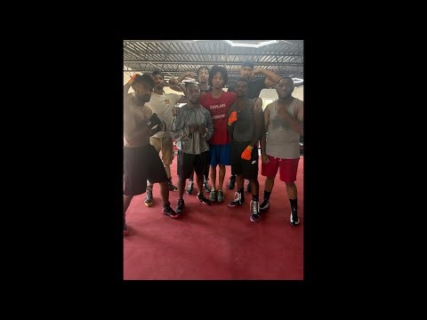 K9 Boxing vs Dfc #boxing #tankdavis #jakepaul #boxer #explore #canelo #fight #motivation #shorts