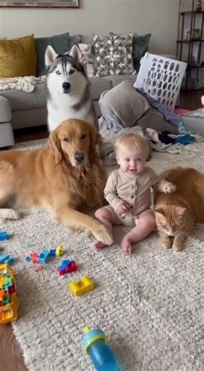 Will best friends tattle? | Little Church Mouse