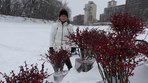 Take a tour of Winnipeg's volunteer-made snow maze