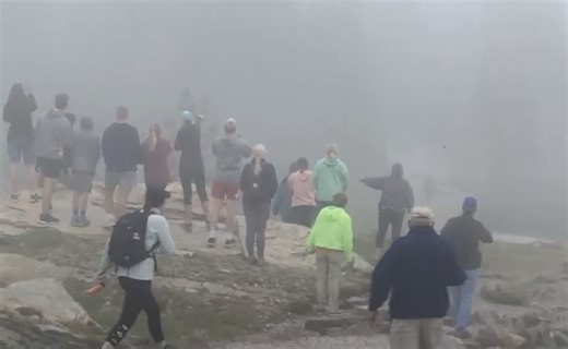 Large Group of Hikers Encounter Grizzly Bear @ Glacier National Park