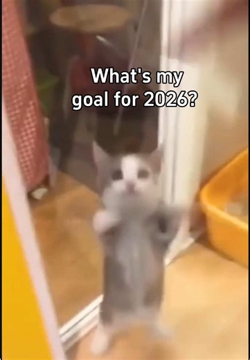 EINSEO wishes everyone a Happy New Year 2026 and joy every day!#pov #EINSEO #2026 #happynewyear