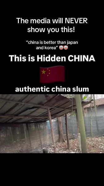 sojulover119 on TikTok