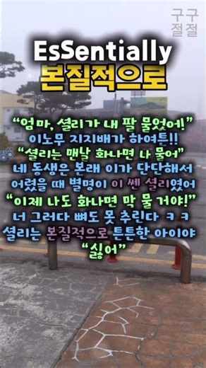 essentially 단어 초고속 외우기 #복습