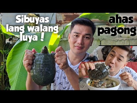 Sibuyas lang ang sahog para sa Soft turtle shell!
