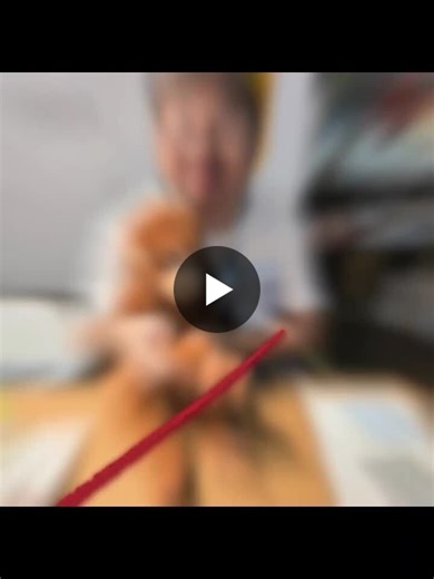 #thanksbetogod #ikeamonkey #randommusingwithryan #autismawarenesssg #spotthemonkey | Soek Ying Koh