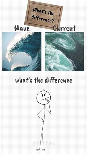 What's the Difference? (The Second One Will Surprise You)🌊