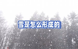 雪的形成过程：冰晶与过冷却水滴的奇妙关系