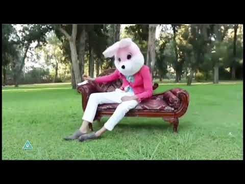 DCM Idents - Amazing, Laughter and Suspense