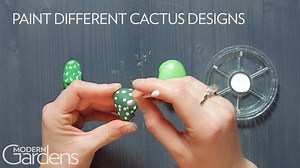 Make A Pebble Cactus Garden