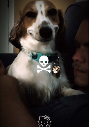 ‏Spotify playlist in bio🔊🔥#foryoupagе #phonk #funk #fyp