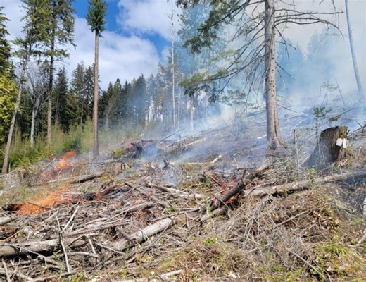 Your guide to B.C. wildfires: Maps, evacuation alerts, air quality and more - The Weather Network