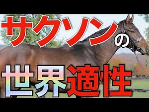 【どう出る】ディープ後継サクソンウォリアーの適性はどこにある？現時点での成績を検証。
