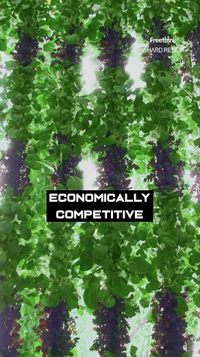 139K views · 6.3K reactions | Vertical Farming uses LEDs to replicate sunlight  | Freethink | Facebook