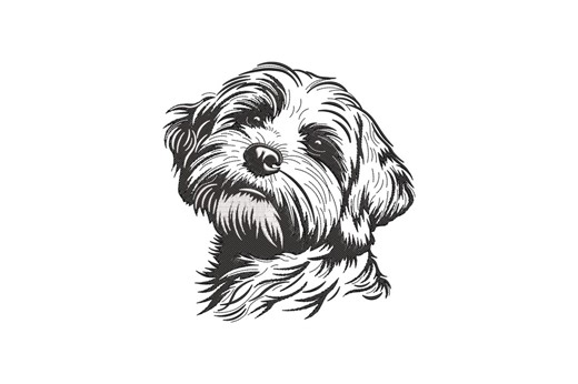 Havanese Dog Machine Embroidery Design, Realistic Puppy Portrait, Instant Download - Etsy
