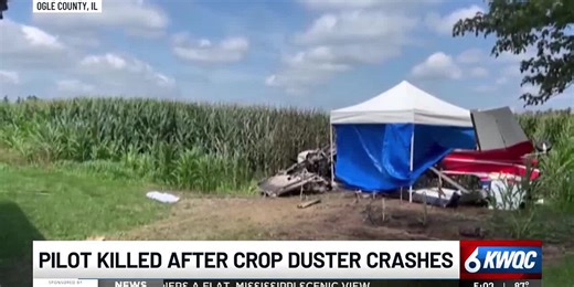 Pilot killed after crop duster crashes