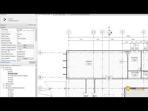 Revit Troubleshoot: section line disappears on certain scales