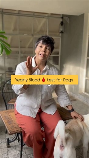 Doggiliciouus on Instagram: "Essential tests you should do for your dog 🩺🐾 Here are some important tests every pet parent should get done regularly. While doing these tests, make sure your dog is fasted — that means no food for at least 8–10 hours before the test (water is fine). Doing it in a fasted state helps you get accurate results, otherwise the readings can be confusing or misleading. Because when it comes to their health, the right diagnosis is everything (Dog, dog parents, dog mom, do