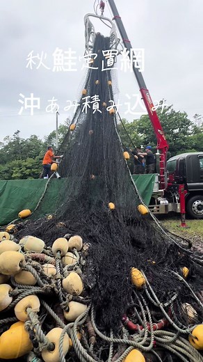 #ヒカキンボイス#北海道 #様似町 #えりも町 #秋鮭定置網 #漁師 #坂本水産 #