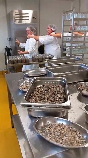 11K views · 204 reactions | En pleine préparation des bocaux pour les fêtes de Noël dans la bonne humeur, la musique est toujours présente pour nous accompagner ! Hier nous nous sommes accordé une petite pause pour une chenille dans le labo ! | Les Escargots d'Estelle | Facebook