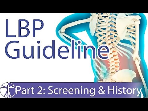 Low Back Pain Guideline: Screening & History-Taking (Part 2)