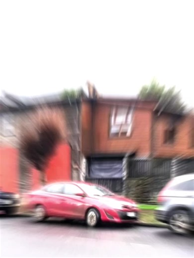 The German shepherd prevents danger before it even happens #dogandbaby #funny #pet #dogsoftiktok #dog