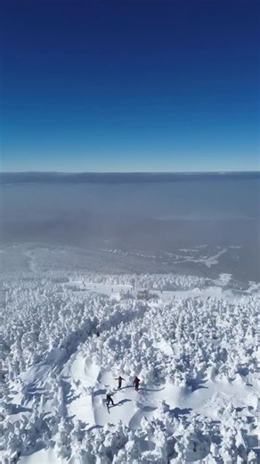 Today was all-time and tomorrow looks even better. Sunshine, soft snow everywhere, and plenty of space on the trails. What more could you ask for? | SADDLEBACK MAINE